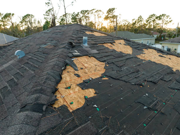 Roof Moss and Algae Removal in Beverly, OH